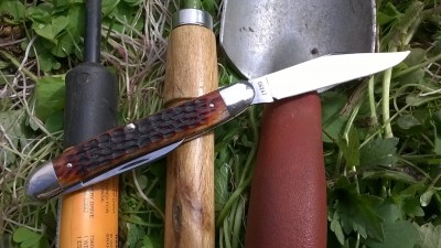 WP_20190605_058.jpg
