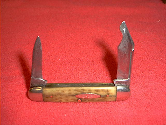 IMG00016.jpg