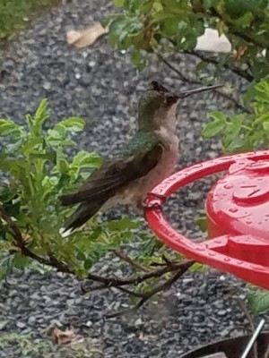 20190608_134408.jpg