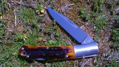 WP_20180503_006.jpg