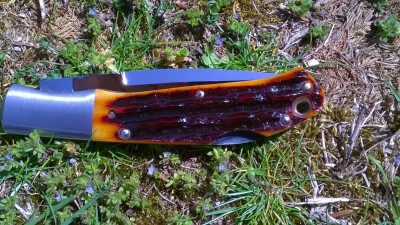 WP_20180503_013.jpg