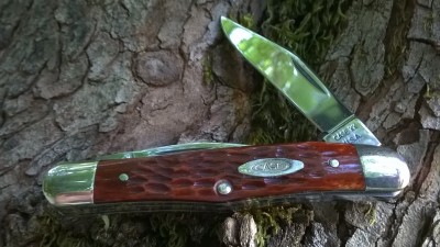 WP_20190610_075.jpg