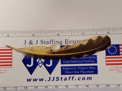 20190612_071747.jpg