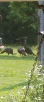 20190610_095826.jpg