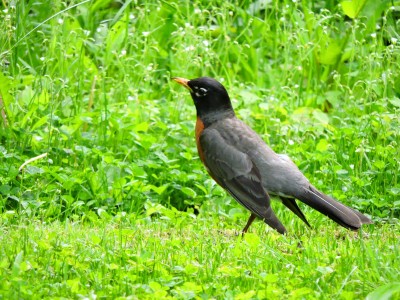 DSCN8312.JPG