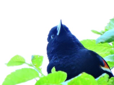 DSCN8337.JPG