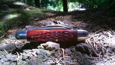 WP_20190611_031.jpg