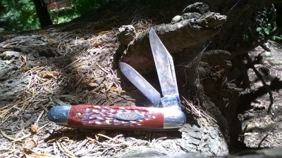WP_20190611_005.jpg