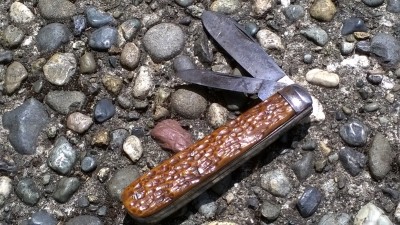 WP_20190613_121.jpg
