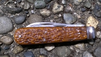 WP_20190613_154.jpg