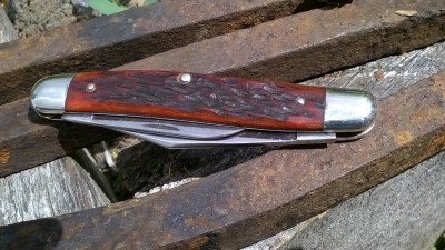 WP_20190614_009.jpg