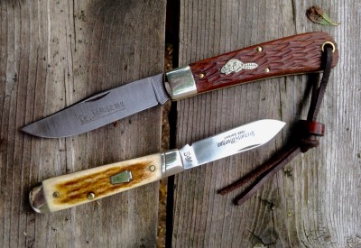 beaver tail & elk - 1.jpg