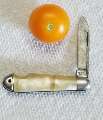 20190615_104711.jpg