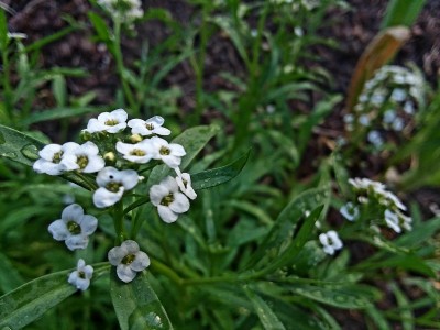 20190617_205254.jpg