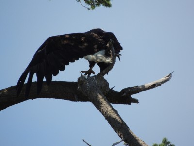 DSCN5882.JPG