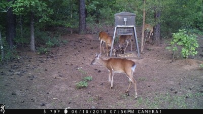 IMG_0027.JPG