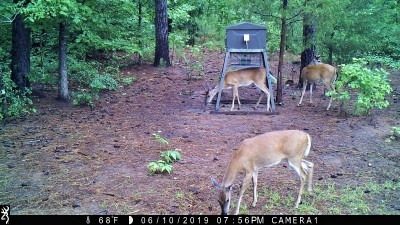 IMG_0041 (2).JPG
