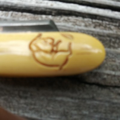 20190619_153158_HDR.jpg