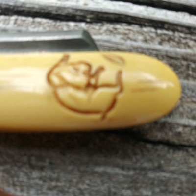 20190619_153202_HDR.jpg