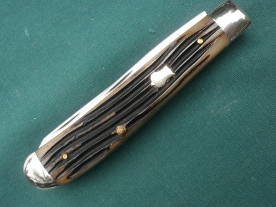 P6200008_1.JPG