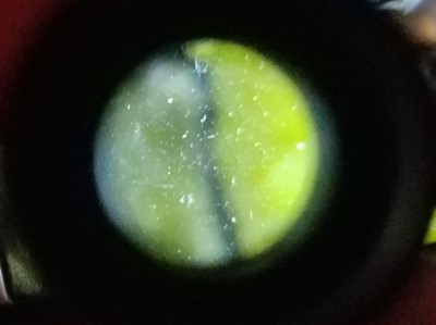 20190621_183729.jpg