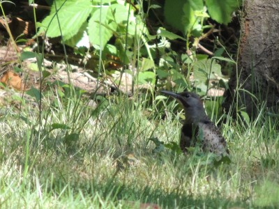 DSCN5928.JPG