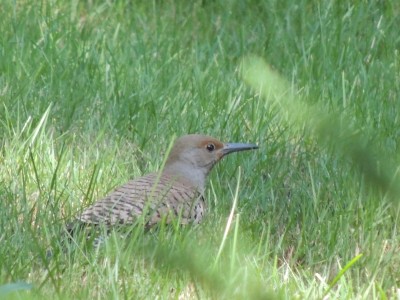 DSCN5937.JPG