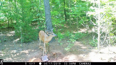 IMG_0076 (2).JPG