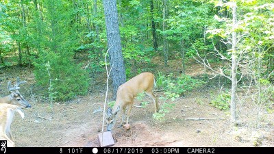 IMG_0078 (2).JPG