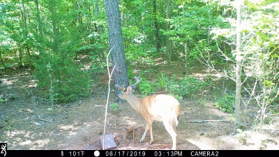 IMG_0079 (2).JPG
