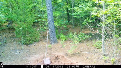 IMG_0074 (2).JPG