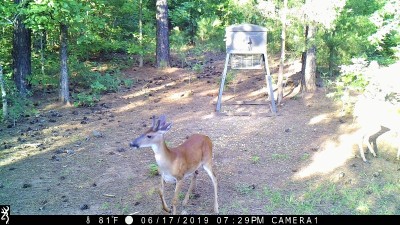IMG_0004 (2).JPG