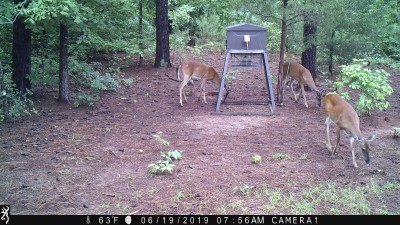 IMG_0094.JPG