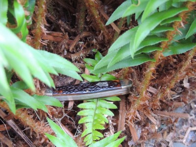 DSCN5825.JPG