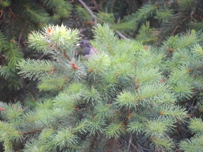 DSCN5799.JPG