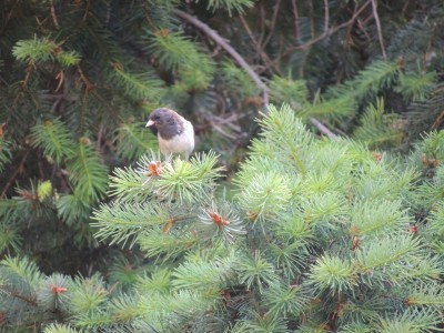 DSCN5800.JPG