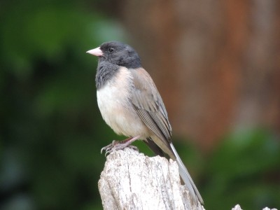 DSCN5814.JPG