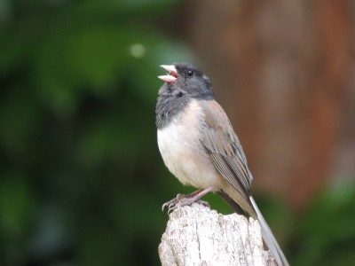DSCN5815.JPG