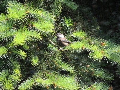 DSCN5958.JPG