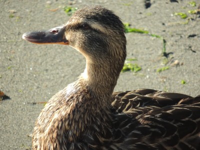 DSCN5954.JPG