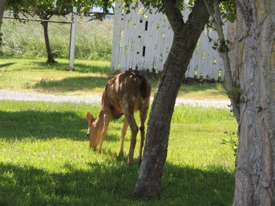 DSCN5901.JPG