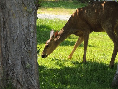 DSCN5903.JPG