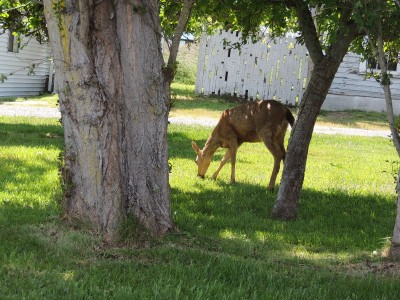 DSCN5904.JPG