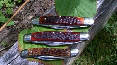WP_20190627_065.jpg
