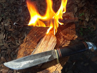 20190627_095254.jpg