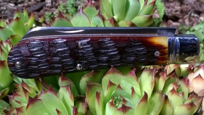 WP_20190628_212.jpg