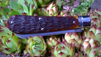 WP_20190628_192.jpg