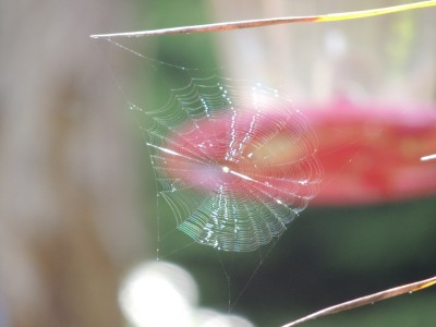 DSCN5809.JPG