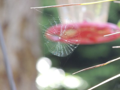 DSCN5808.JPG