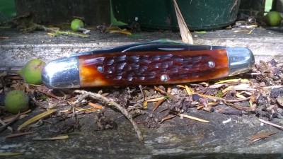 WP_20190628_034.jpg